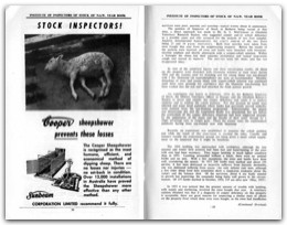1955 Page 30 31
